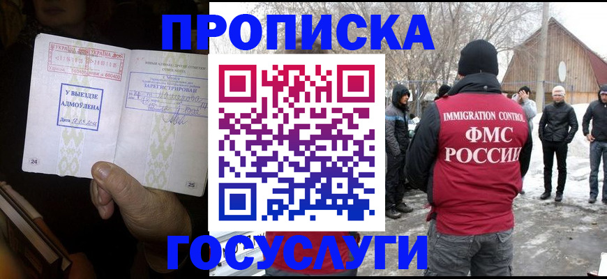 прописка поиск в Бийске